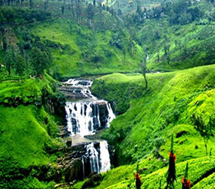 nuwaraliya