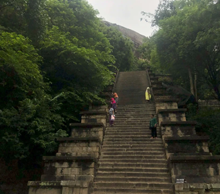 yapahuwa forest
